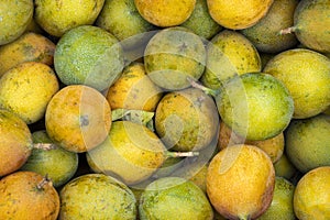 Passiflora ligularis - Delicious fresh passion fruit at farmer\'s market