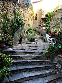 Passignano sul Trasimeno ancient town, Umbria region, Italy. Ancient secret path, plants and peace 