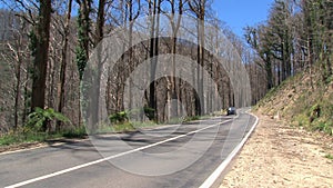 Passing car burned trees,Dandenong ranges,Australia