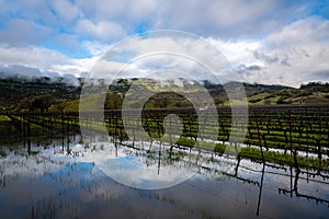 Passing storm over Napa Valley