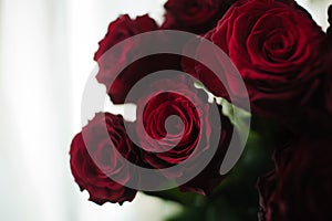 Passion in Bloom: Romantic Bouquet of Red Roses