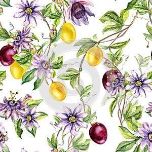 Passion flower plant and fruits watercolor seamless pattern isolated on white. Blue tropical plant, maracuja hand drawn