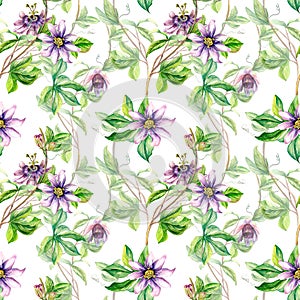 Passion flower plant watercolor seamless pattern isolated on white