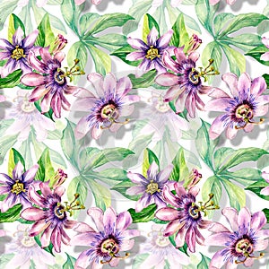 Passion flower plant watercolor seamless pattern isolated on white.