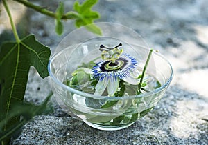 Passion flower in water