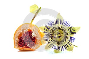 Passion fruit photo