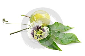 Passion fruit flower and leaves on white background