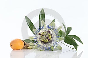 Passion fruit flower with ripe isolated on white background