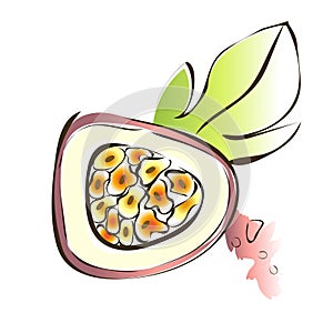 Passion fruit, maracuja. Vector illustration, isolated on white.