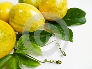 Passion fruit (Passiflora edulis)