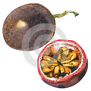 Passion fruit, passionfruit, maraquia, whole and half, slice, , watercolor illustration on white