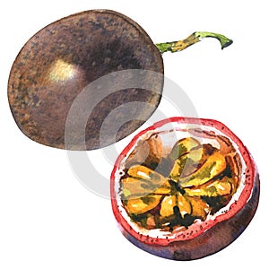 Passion fruit, passionfruit, maraquia, whole and half, slice, , watercolor illustration on white photo