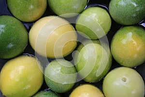 Passion fruit is placed on top of water.