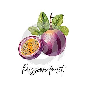 Passion fruit vector illustration