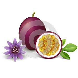 Passion fruit. Vector illustration.