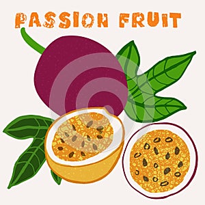 Passion fruit vector illustration. Colorful textured modern design