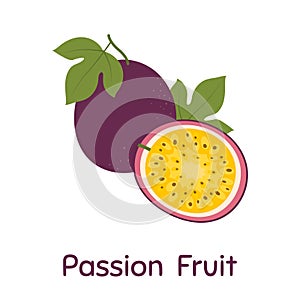 Passion Fruit. Vector Illustration EPS.