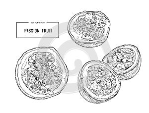 Passion fruit vector illustration