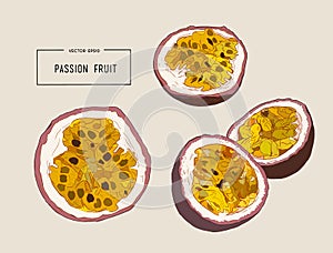 Passion fruit vector illustration