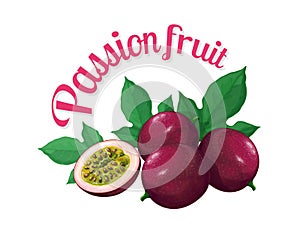 Passion fruit. Vector illustration made in a realistic style