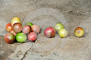 Passion fruit on the vine