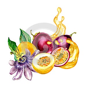 Passion fruits and flower on juice splash watercolor illustration isolated on white.