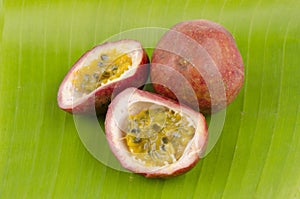 Passionfruit (Passiflora edulis) photo