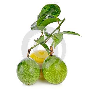 Passionfruits isolated on white