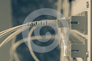 Passive optical network distribution panel