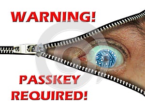 passkey code access security computers online internet danger fraud warning passwords photo