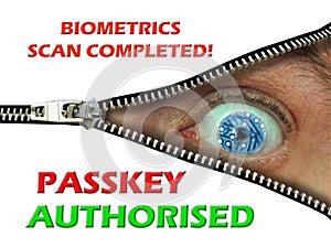 passkey code access security computers online internet danger fraud warning passwords photo