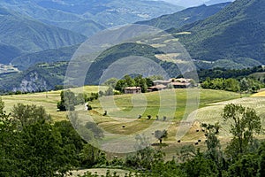 Passo del Penice: mountain landscape