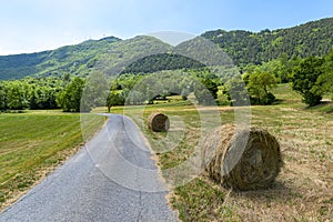 Passo del Penice: mountain landscape