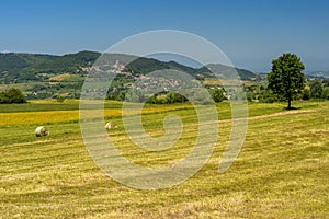 Passo del Penice: mountain landscape