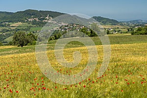 Passo del Penice: mountain landscape