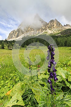 Passo di Falzarego in Dolomiti mountains