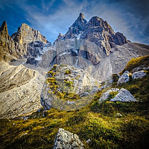 Passo rolle alps detail