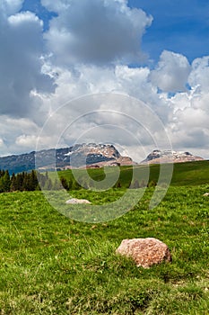 Passo Rolle, Dolomites,  Italy