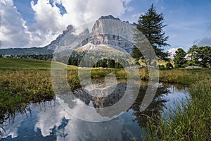 Passo Sella group close to val Gardena. Nature pond and reflection of Sassolungo Langkofel mountain. Dolomites, Italy