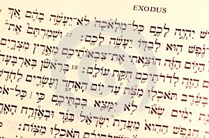 Passover text Hebrew