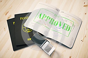 Passport with approved visa