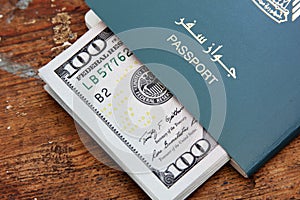 Passport with money