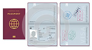 Passport template. Official id document visa sapling pages cards legal travel badges vector pictures