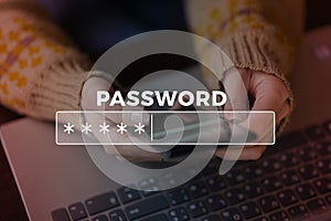 Password Box in Internet Browser