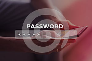 Password Box in Internet Browser