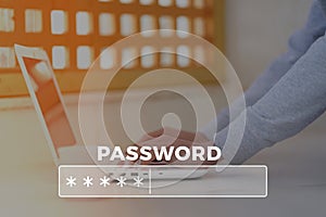 Password Box in Internet Browser