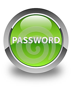 Password glossy green round button