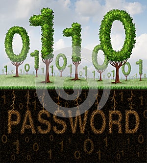 Password Security