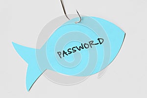 Password written on a paper note in the shape of a fish attached