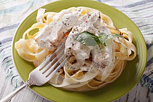 Pasta Alfredo with chicken closeup on a plate. horizontal